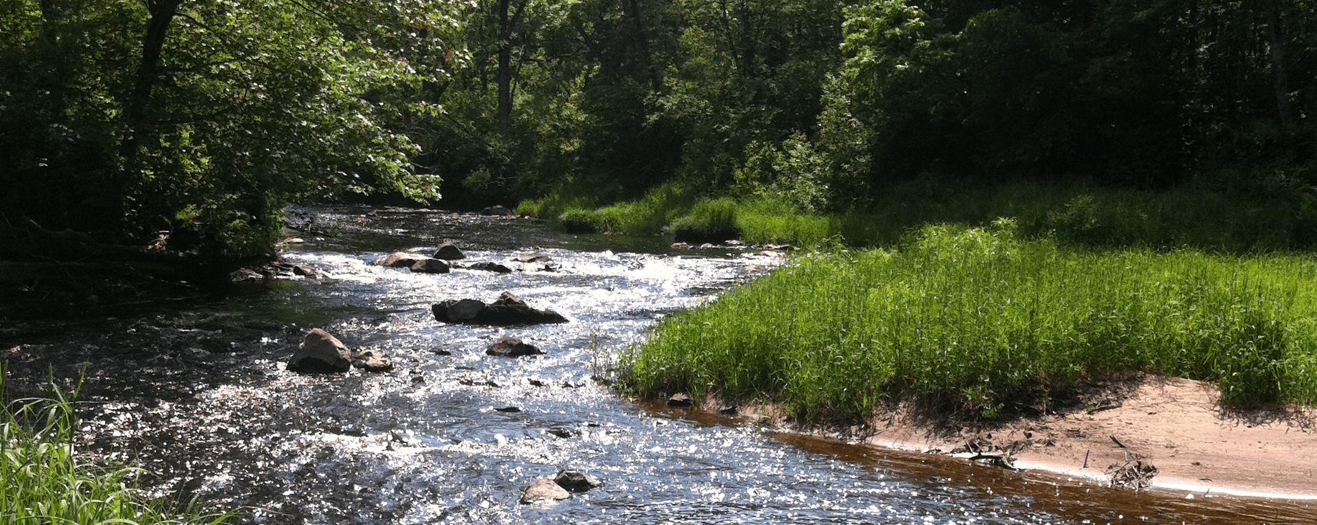 Forêt ancienne Randonnée, vélo, hébertisme, hébergement rustique