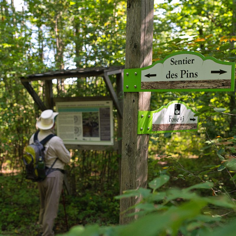 Parc régional des Grandes-Coulées / Randonnée dans le secteur de la Forêt ancienne